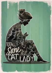 Ilustrare Totally Sane Cat Lady, Andreas Magnusson, (30 x 40 cm)