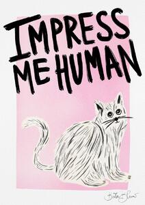 Ilustrare Cat Owner - Impress Me Human, Baroo Bloom, (30 x 40 cm)