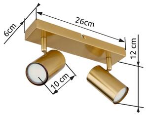 Spot Globo 57911-2GO ROBBY 2xGU10/35W/230V
