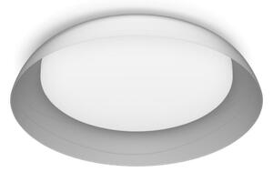 Plafonieră LED dimabilă Philips FLETA LED/10W/230V 4000K transparent