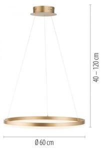 Lustră LED dimabilă pe cablu Paul Neuhaus 2382-60 TITUS LED/38,5W/230V
