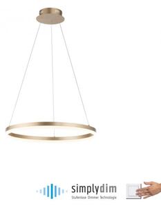 Lustră LED dimabilă pe cablu Paul Neuhaus 2382-60 TITUS LED/38,5W/230V
