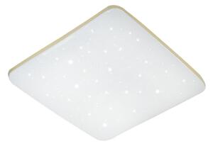 Plafonieră LED dimabilă MANA LED/36W/230V 2700-6500K + telecomandă