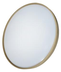 Plafonieră LED dimabilă DRINA LED/36W/230V 2700-6500K + telecomandă