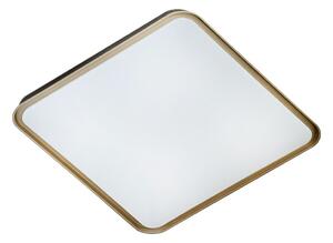 Plafonieră LED dimabilă UNA LED/60W/230V 2700-6500K + telecomandă