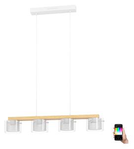 Lustră LED RGBW dimabilă pe cablu Eglo 900881 PORTICO-Z 4xLED/3,7W/230V