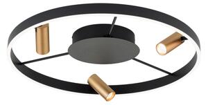 Orion DL 7-686/3-LED Plafonieră LED dimabilă BERLIN LED/50W/230V negru/auriu