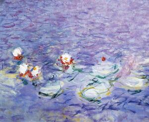 Monet, Claude - Artă imprimată Water Lilies, (40 x 35 cm)