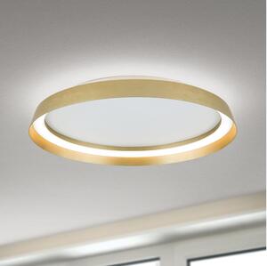 Orion DL 7-699/45 LED MANTA 38W 230V 2700-4000K pr. 45 cm iluminat ambiental