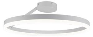 Lustră LED dimabilă aplicată LED/40W/230V 3000-6500K alb + telecomandă