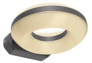 Aplică LED de exterior Deko-Light 731081 MUSCAE 13W/230V IP54 antracit