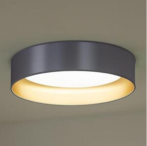 Plafonieră LED Duolla ROLLER LED/24W/230V d. 45 cm argintiu/auriu