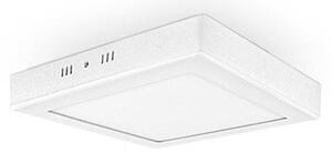 LED Plafonieră ORTO SQ-NT LED/24W/230V 3000K 28,5x28,5 cm