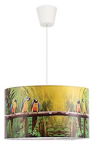 Lustră pe cablu pentru copii Duolla PARROTS 1xE27/40W/230V d. 35 cm