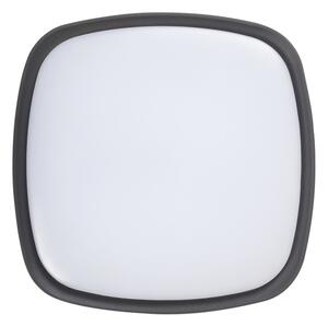 Rabalux 8797 - LED Plafonieră exterior AUSTIN LED/20W/230V IP65