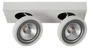 Lucide 09920/20/31 - LED Lampă spot dimmabilă NENAD AR111 G53/2x10W/18V
