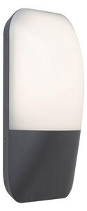 Rabalux 7996 - Aplică perete exterior LED ECUADOR LED/10W/230V IP65 800lm 4000K
