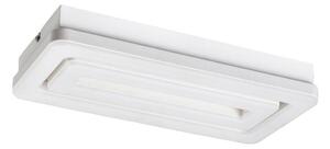 Rabalux 5648 - Plafonieră LED ALANA LED/40W/230V