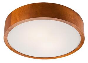 Plafonier 2xE27/60W/230V, iluminare plafon simplă și eficientă