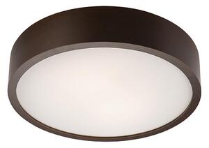 Plafonier 2xE27/60W/230V, iluminare plafon simplă și eficientă