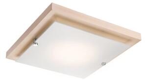 Plafonier 1xE27/60W/230V, iluminare plafon simplă și eficientă