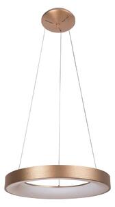 Rabalux - Lustră LED pe cablu CARMELLA LED/50W/230V