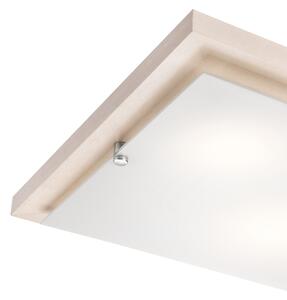 Plafonier 1xE27/60W/230V, iluminare plafon simplă și eficientă