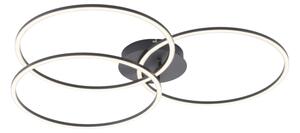 Plafonieră LED dimabilă IVANKA 3xLED/12W/230V Leuchten Direkt 14539-18