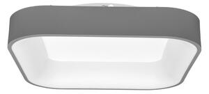 Plafonieră LED dimabilă Ecolite WMKL01S-40W/LED-SED NEST LED/40W/230V