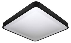 Plafonieră LED WILTON LED/24W/230V negru