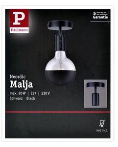 Paulmann 79760 - Plafonieră HALDOR 1xE27/20W/230V