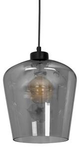 Lustră pe cablu SANTIAGO 1xE27/60W/230V negru
