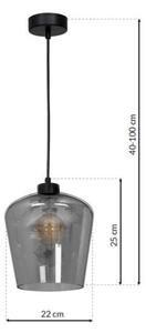 Lustră pe cablu SANTIAGO 1xE27/60W/230V negru