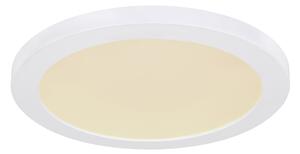 Plafonieră LED Globo 12379-24W LASSE LED/24W/230V