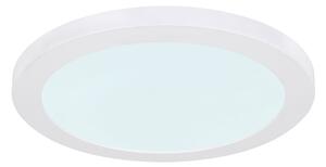 Plafonieră LED Globo 12379-24W LASSE LED/24W/230V