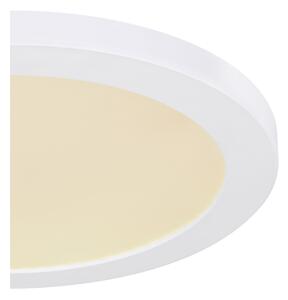 Plafonieră LED Globo 12379-24W LASSE LED/24W/230V