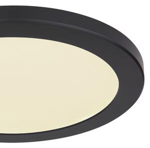 Plafonieră LED Globo 12379-24B LASSE LED/24W/230V