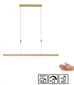 Lustră LED dimabilă pe cablu Paul Neuhaus 2568-60 ADRIANA LED/14W/230V alămie
