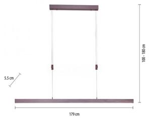 Lustră LED dimabilă pe cablu Paul Neuhaus 2568-24 ADRIANA LED/14W/230V