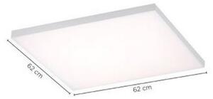 Panou LED dimabil FRAMELESS LED/35W/230V + telecomandă Paul Neuhaus 8492-16