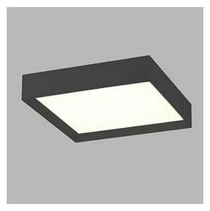 Plafonieră LED LED2 MILO LED/30W/230V neagră 3000/4000K