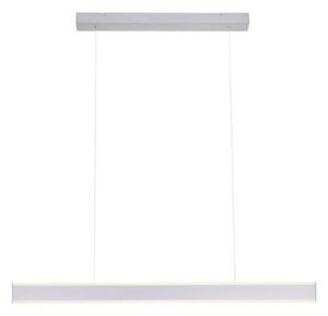 Lustră LED dimabilă pe cablu ARINA LED/20W/230V Paul Neuhaus 8363-55