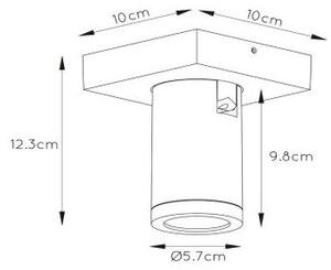 Spot LED dimabil TAYLOR 1xGU10/5W/230V IP44 Lucide 09930/05/31