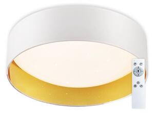 Plafonieră LED dimabilă LED/24W/230V albă Top Light + telecomandă