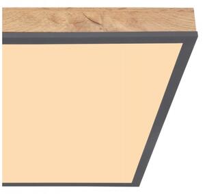 Plafonieră LED DORO LED/24W/230V Globo 416080WD2