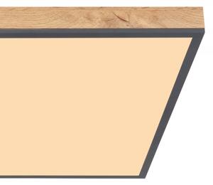 Plafonieră LED DORO LED/36W/230V Globo 416080WD3