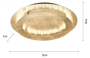 Plafonieră LED NEVIS LED/24W/230V Paul Neuhaus 9621-12