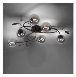 Lustră LED aplicată WIDOW 6xG9/3W/230V Paul Neuhaus 6737-18