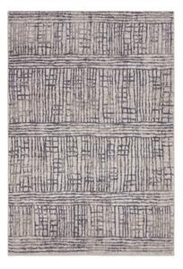 Covor gri 80x120 cm Terrain – Hanse Home