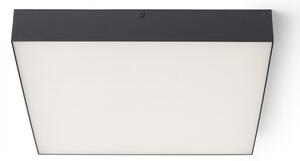 Plafonieră LED LARISA LED/50W/230V neagră RED-Design Rendl-R13490